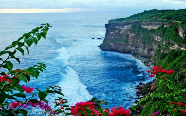 Vibrant cliffside with lush plants overlooking the ocean in Bali
