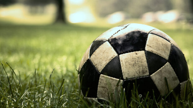A close up view of a ball resting on green grass in a sunny outdoor setting