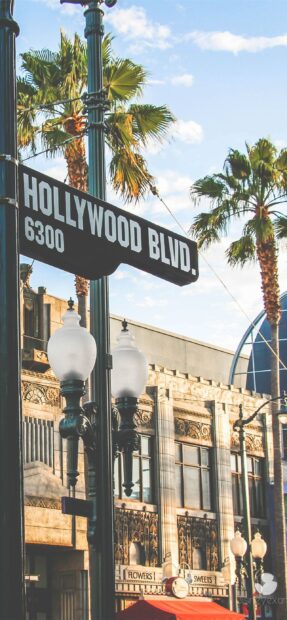 A street sign for Hollywood Blvd surrounded by palm trees and ornate buildings in Beverly Hills