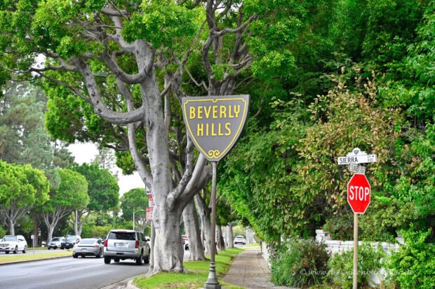 Street sign for Beverly Hills with lush green trees along the road in a serene neighborhood