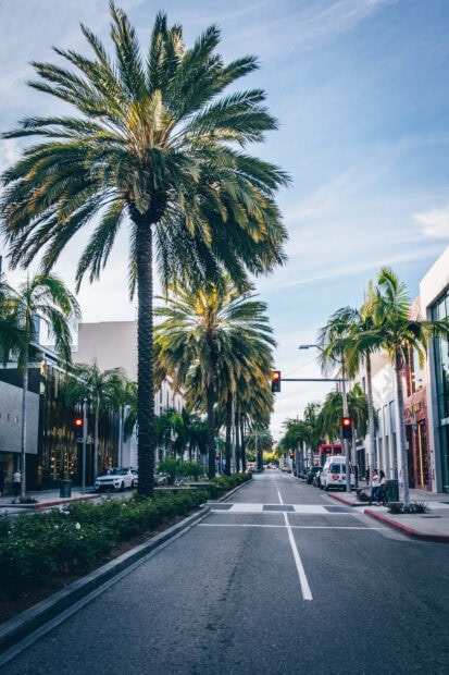 Tall palm trees lining a Beverly Hills street under a clear blue sky