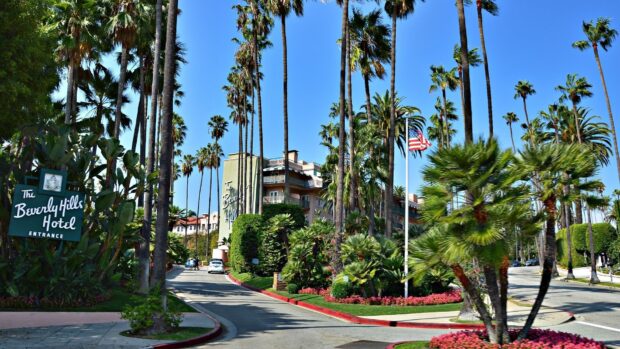 The Beverly Hills Hotel surrounded by palm trees and clear blue sky