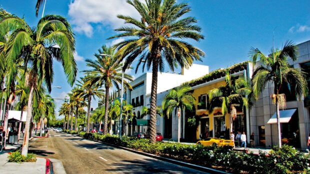 A beautiful street view in Beverly Hills with tall palm trees and luxury shops lining the road