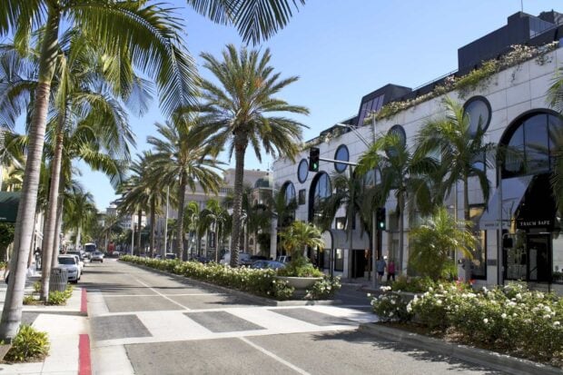 Palm trees line the famous Beverly Hills avenue under a clear blue sky
