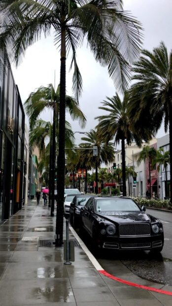 Luxury cars parked along palm tree lined streets in Beverly Hills on a rainy day