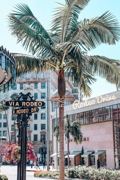 Palm trees and Rodeo Drive street signs in Beverly Hills cityscape
