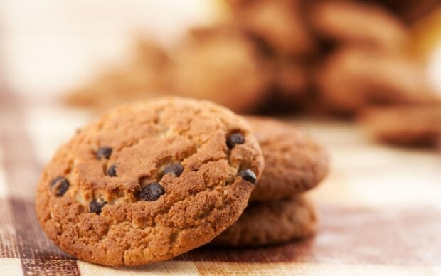 Close up of chocolate chip biscuit with a crunchy texture on a checkered cloth