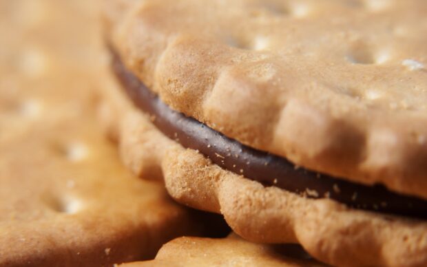 Close up of biscuit with chocolate filling showing texture and detail