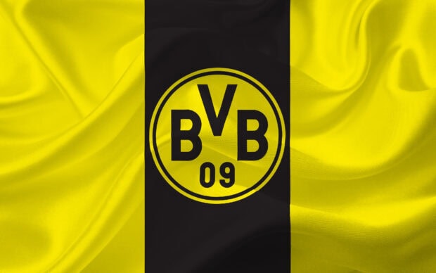 The Borussia Dortmund emblem centered on a yellow and black flag representing the team colors
