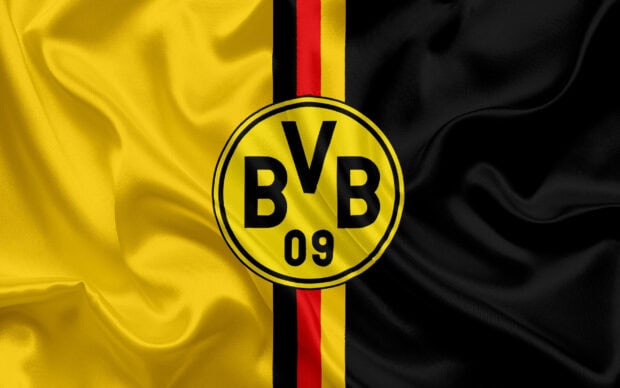 The Borussia Dortmund emblem on a yellow and black fabric background with a red stripe