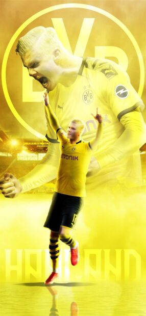 Borussia Dortmund player celebrating a goal in yellow kit on a vibrant yellow background