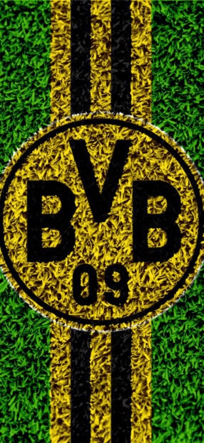 Close up of Borussia Dortmund logo on green grass texture