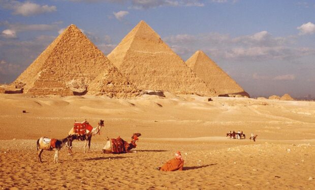 The ancient pyramids of Cairo Egypt with camels resting in the sandy desert