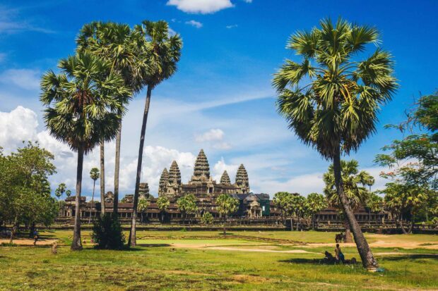 Ancient Cambodian temple surrounded by palm trees and green fields under blue sky