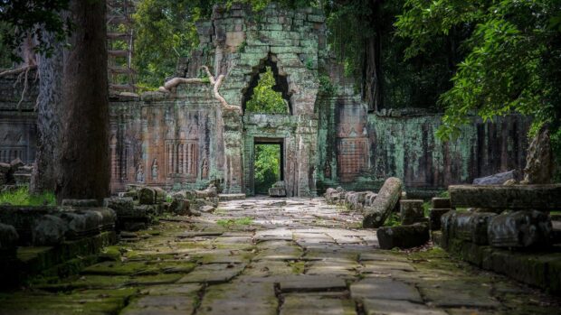 Ancient Cambodia ruins surrounded by lush green forest in high definition