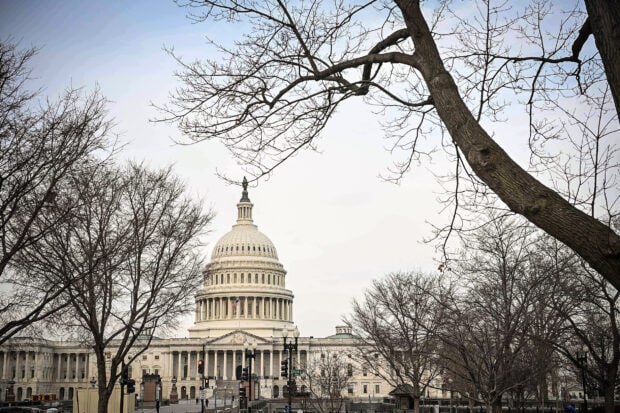Capitol Hill framed by bare winter trees on a clear day