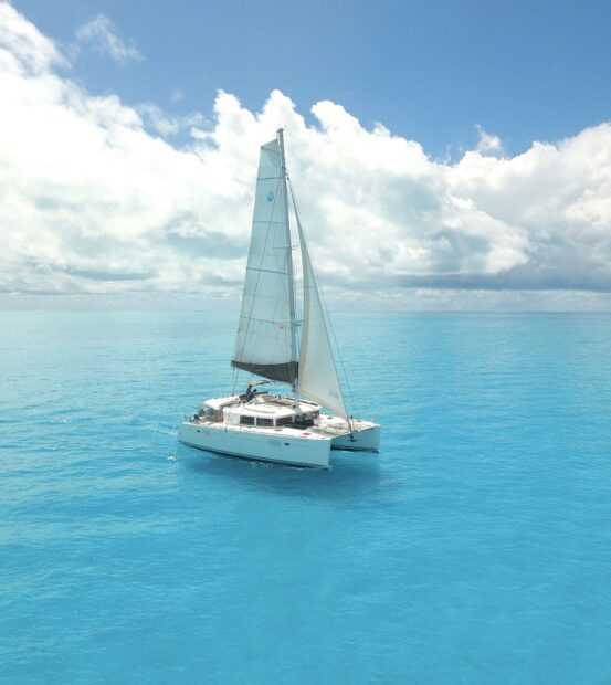 A catamaran sailing peacefully on clear blue ocean waters under a bright sky