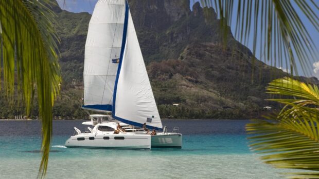 A catamaran sailing on turquoise water near a tropical island with palm trees and mountains in the background