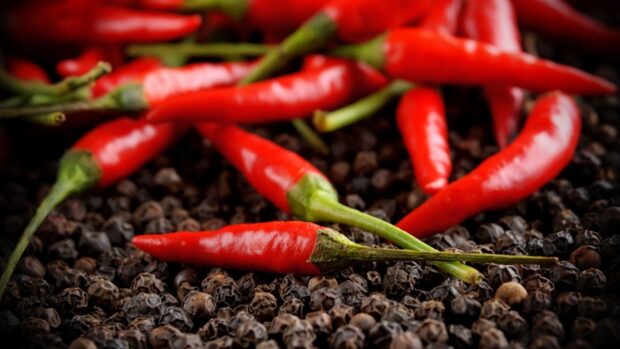 Fresh chili pepper lying on a bed of black peppercorns in close up detail