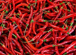 A close up of red chili pepper with green stems densely packed together