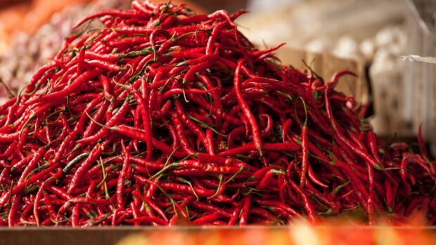 A large pile of fresh chili pepper with green stems at a market stall