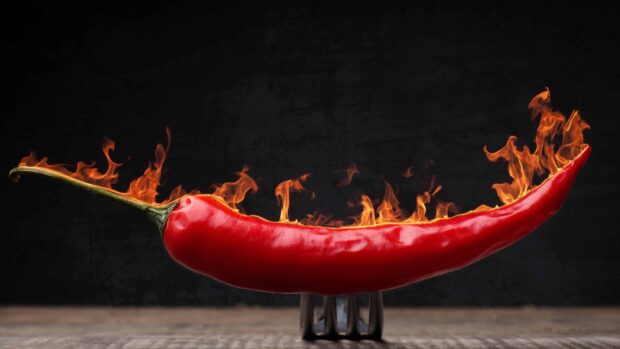 A red chili pepper with flames burning along its length on a dark background