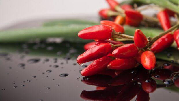 Cluster of chili pepper with water droplets on black reflective surface