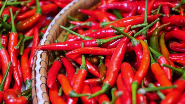 Fresh chili pepper piled in a basket with vibrant red and green colors