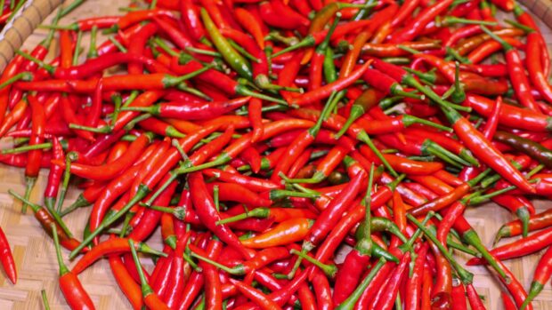 Fresh red chili pepper spread on a woven basket surface in close up view