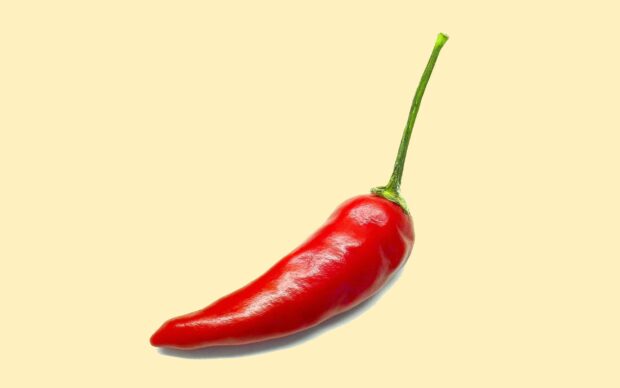 A fresh red chili pepper with a green stem on a light yellow background