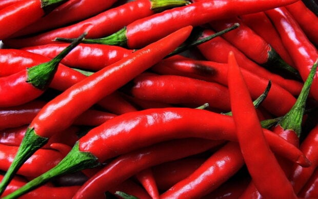 Fresh chili pepper close up with vibrant red color and green stems