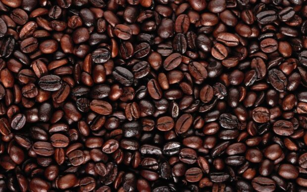 Close up view of roasted coffee beans scattered densely