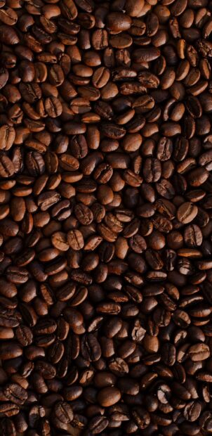 Close up view of coffee beans covering the entire surface in high detail