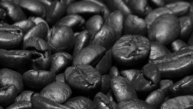 Close up dark roasted coffee beans with rich texture and shiny surface