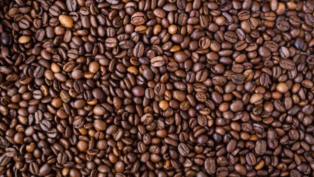 Close up view of roasted coffee beans piled together on a surface