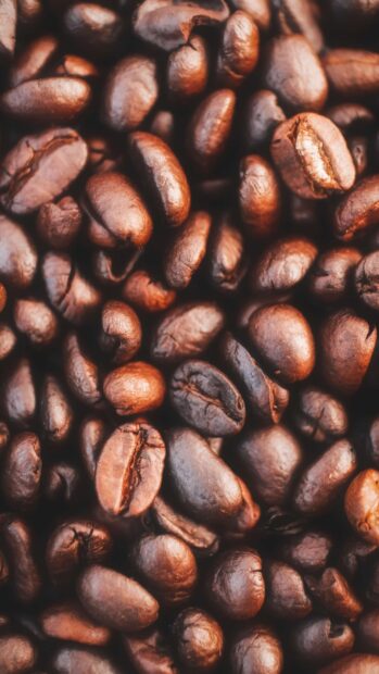 Close up view of coffee beans in high quality for a fresh coffee experience