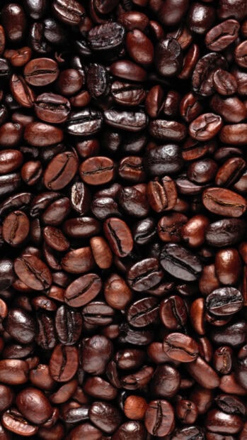 Close up of roasted coffee beans with different shades and textures