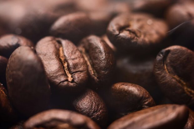 Close up of roasted coffee beans showcasing natural texture and color