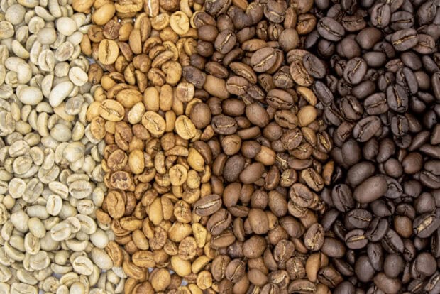 Coffee beans in different roasting stages arranged side by side in high definition