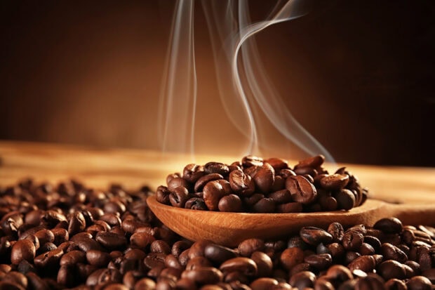 Hot coffee beans steaming on a wooden spoon in a pile of coffee beans