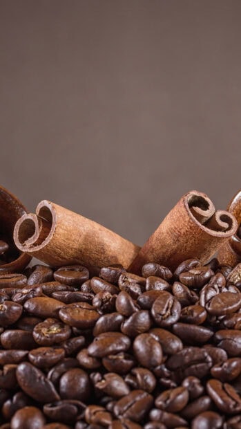 Close up of coffee beans and cinnamon sticks in high definition quality