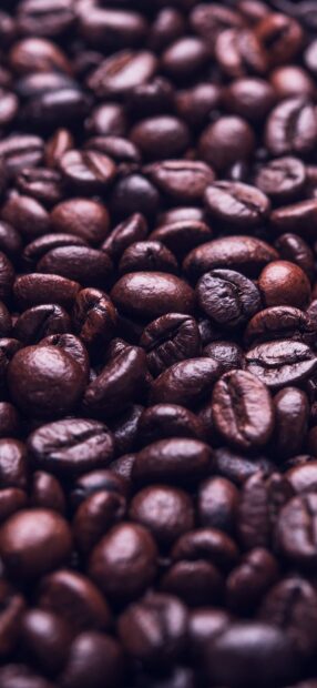 Close up of roasted coffee beans filling the frame with rich texture and color