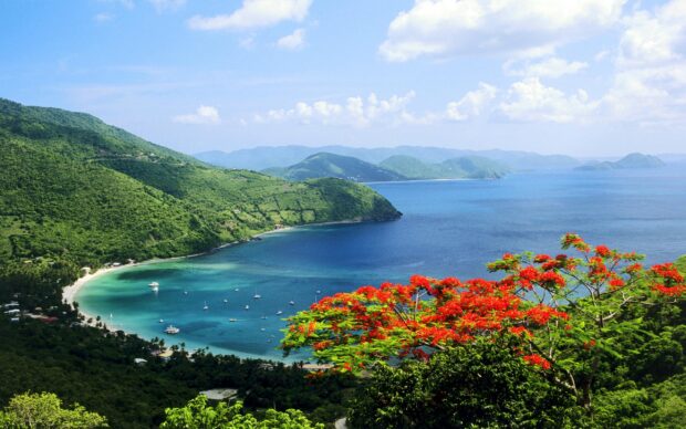 Lush green hills and red flowering trees overlooking a calm blue bay in Colombia