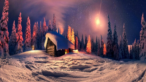 A cozy winter cabin surrounded by snowy trees under a starry sky