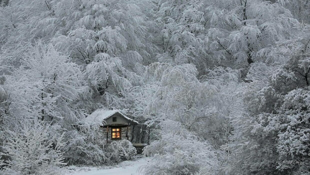 A cozy winter cabin surrounded by snow covered trees glowing warmly inside