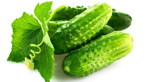 Fresh green cucumber with vibrant leaves on white background