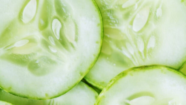 Close up of fresh cucumber slices showing seeds and texture