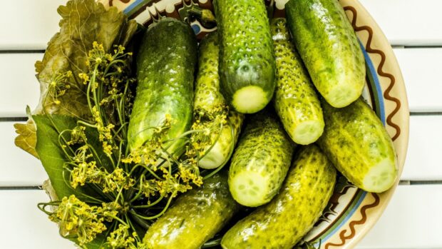 Fresh cucumbers with dill flowers and leaves in a bowl for a healthy snack