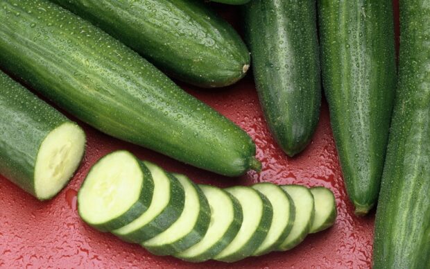 Fresh cucumbers with water droplets on a red surface showcasing fresh cucumber slices