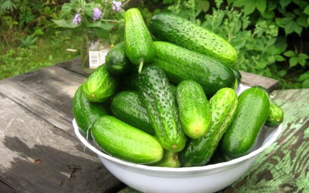 A bowl of fresh cucumber on a wooden table in a garden setting